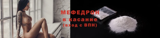 стаф Касимов