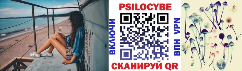 Галлюциногенные грибы мицелий  Купить закладки  Вязники 